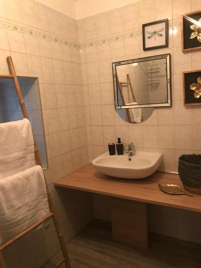 Appartement Cosy Le Safari Avec Wifi Annonay Kültér fotó