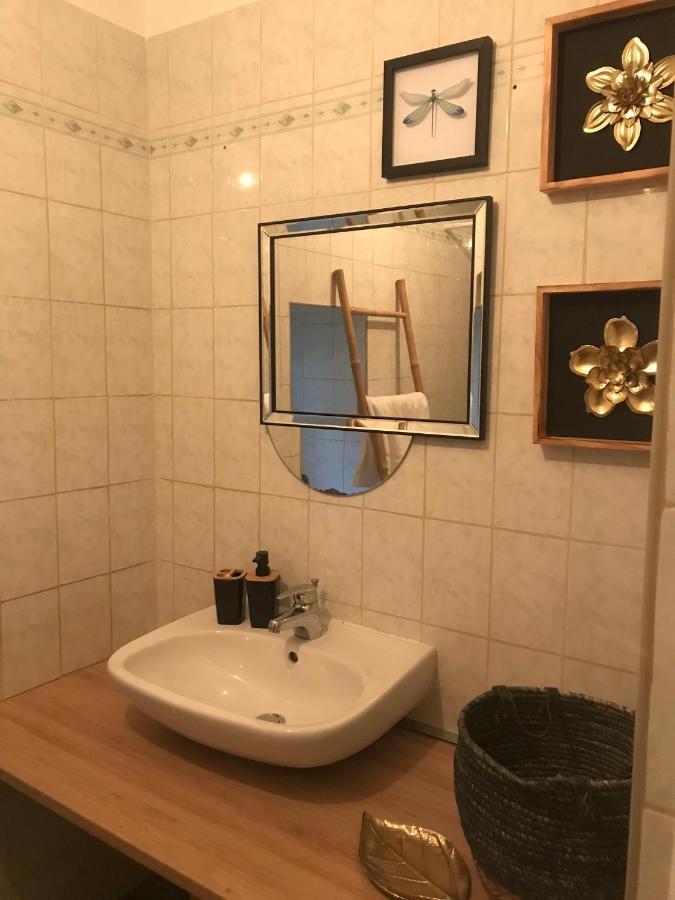 Appartement Cosy Le Safari Avec Wifi Annonay Kültér fotó